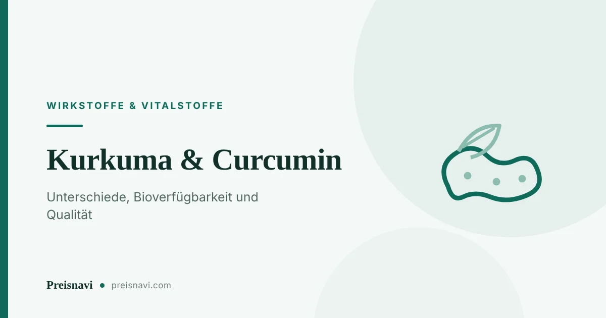Gezeichnete Kurkumawurzel mit Blatt als Beitragsbild zum Ratgeber über Curcumin-Extrakte und ihre Bioverfügbarkeit