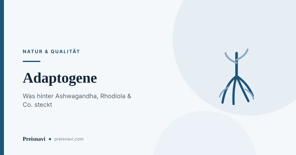 Pflanze mit verzweigtem Wurzelwerk als Sinnbild für adaptogene Wurzelextrakte wie Ashwagandha und Rhodiola