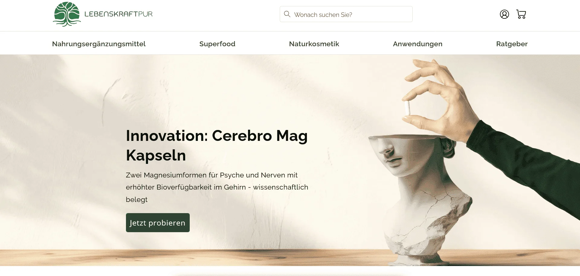 Auf Preisnavi findet man auf diesem Blogartikel 2 Alternativen für den Lebenskraftpur Shop.