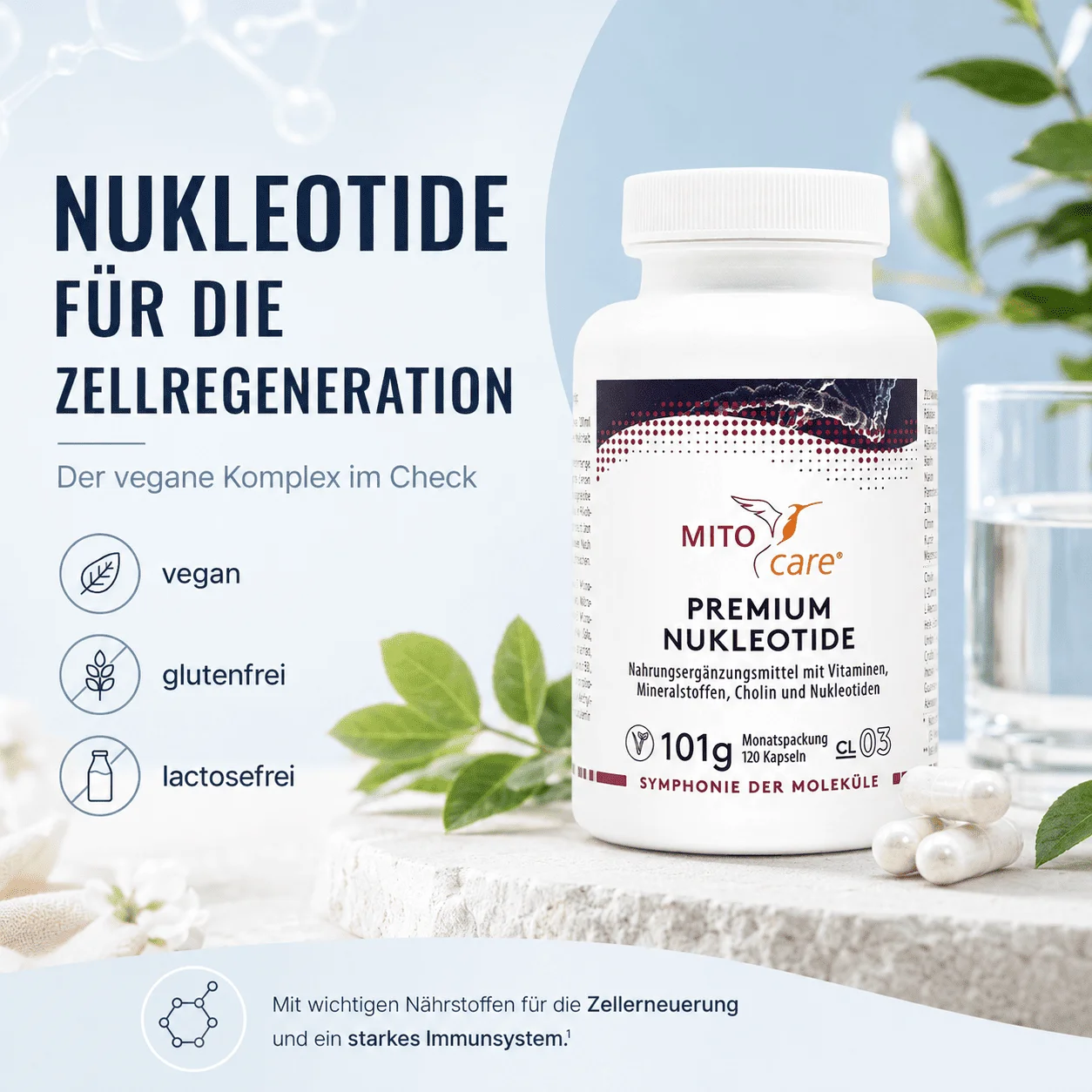 Nukleotide für die Zellregeneration – Mitocare Premium Nukleotide vegan Mitocare Premium Nukleotide Flasche mit Kapseln, Glas Wasser und grünen Pflanzen als Blogbild zum Thema Nukleotide für die Zellregeneration, vegan, glutenfrei und lactosefrei.