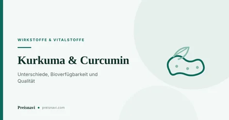 Gezeichnete Kurkumawurzel mit Blatt als Beitragsbild zum Ratgeber über Curcumin-Extrakte und ihre Bioverfügbarkeit