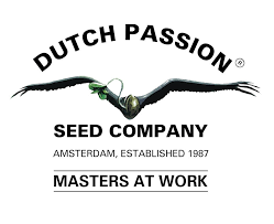 Dutch Passion Erfahrungen und Bewertung