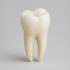 Zahnschmelz durch Calcium und Vitamin D stärken.